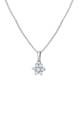 Silver Classic Flower Pendant with Link Chain